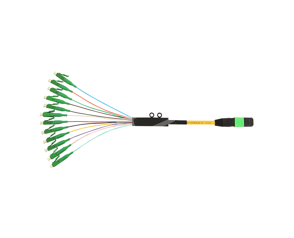 MPO/MTP Patch Cord